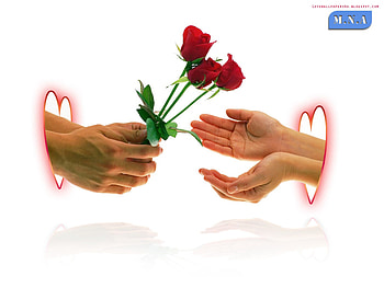 FOR ME, people, affection, love HD wallpaper