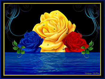 Brilliant Roses 1600x1200, Roses, RedRoses, YellowRoses, Flowers, BlueRoses, Water HD wallpaper