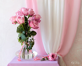 Cashmere roses, table, white, roses, vase, beautiful, romance, silk, still life, pink, petals, lavender, romantic, lilac HD wallpaper