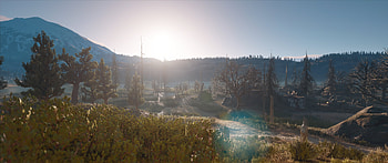Days Gone, Days Gone HD wallpaper