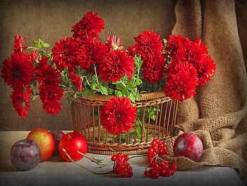 Still life, beautiful, fruits, nice, basket, delicate, apples, pretty, red, flowers, harmony HD wallpaper