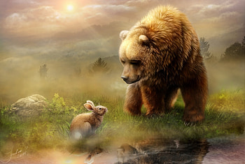 Hello!, animal, bunny, river, bear, fantasy, alenaekaterinburg, luminos, rabbit HD wallpaper