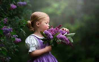 Little girl, purple, pink, flower, girl, spring, child, copil, lilac HD wallpaper