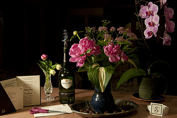 still life, nature, flowers, orchids HD wallpaper