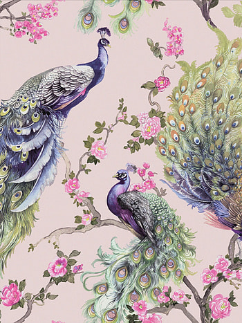 Menali peacock , Pink holden, Glitter , Beauty HD phone wallpaper