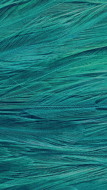 Teal Color, Teal Aesthetic HD phone wallpaper