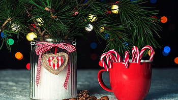 Candy cane , Festive backgrounds, Holiday delight, Sweet treats HD wallpaper