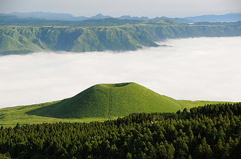Nature Japan Greenery , nature, world, japan HD wallpaper