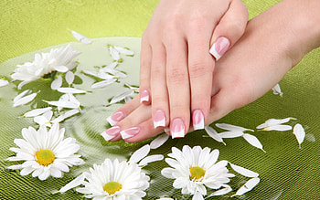 white, daisy, nails, yellow, flower, green, hand HD wallpaper