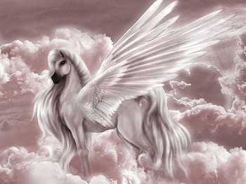 unicorn angel, unicorn, wings, angel, sky HD wallpaper