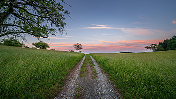 Countryside, Dusk, Sunrise, Fields, Sunset, Tree, Nature, Summer, Country, Dirt, Grass, Road, Spring, Clouds, Sky HD wallpaper