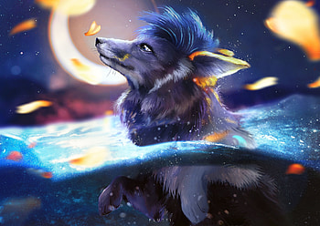 Naxel, night, charline k, flutti, art, vulpe, fox, moon, fantasy, butterfly, luna, water HD wallpaper