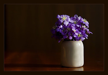 still life background, blue, art , white, black, vase, nice, still life, background, flowers HD wallpaper