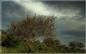 Waiting for the storm, waiting, storm HD wallpaper