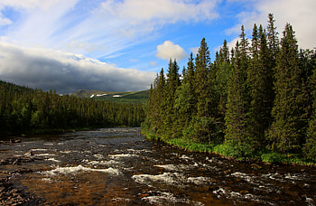 Nature, Rivers, Trees, Clouds, Forest, Spruce, Fir HD wallpaper