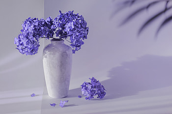 Very Peri, Trend color 2022, Hausinfo article, Popular hue HD wallpaper