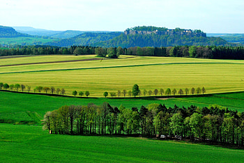 Farms, landscape, nature, trees HD wallpaper