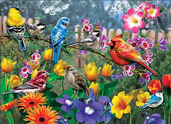 birds paradise, natur, paradise, birds, animals HD wallpaper