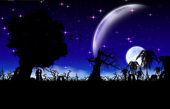 moonlight, star, blue, sky, moon HD wallpaper