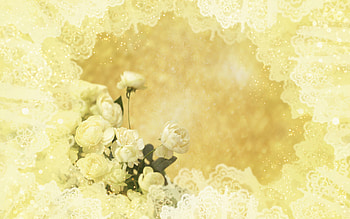 Plants, Flowers HD wallpaper