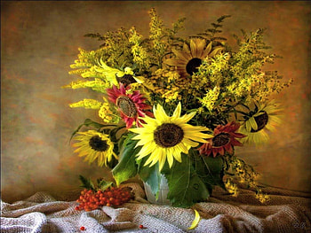 Sunflower summer, still life, sunflowers, yellow, red, vase, flowers HD wallpaper