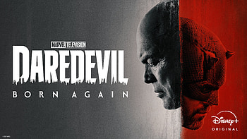 Daredevil: Born Again HD wallpaper