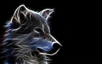 Cool Animal Full HD wallpaper