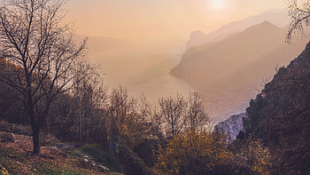 Nature, Trees, Mountains, Sea, Fog HD wallpaper
