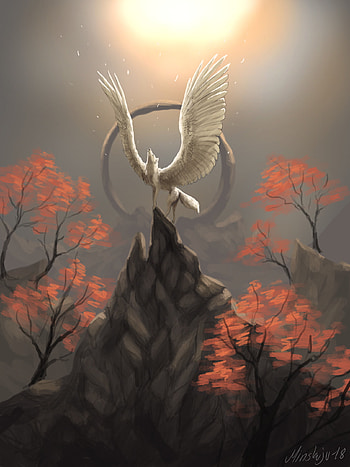 Art, Rock, Wolf, Wings, Circle HD phone wallpaper