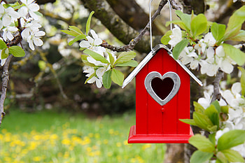 Flowers, Miscellanea, Miscellaneous, Wood, Tree, Branch, Birdhouse HD wallpaper