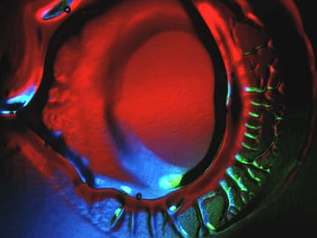 Red Eye, blue, eyelashes, green, red, eye HD wallpaper