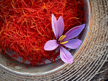 Saffron, Great recipes ideas, Saffron recipes, Food HD wallpaper