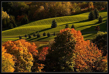 Evening Hills Of October, evening lightining, autumn fall, art , hills, green, beautiful, tress, colourc HD wallpaper