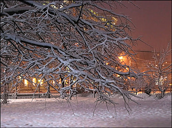 Winter Evening, winter night, snow, beautiful, lightining, houses, park, tree HD wallpaper