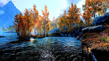 AUTUMN CREEK, trees, autumn, creek, nature HD wallpaper