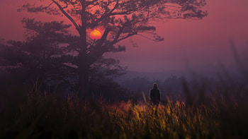 Finding Peace In Stillness, alone, evening, artist, artwork, digital-art HD wallpaper