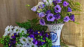 Bouquet of eustoma, bouquet, vase, beautiful, still life, eustoma, delicate, pretty, flowers, lovely HD wallpaper