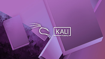 Kali Purple — Linux, Kali Linux HD wallpaper