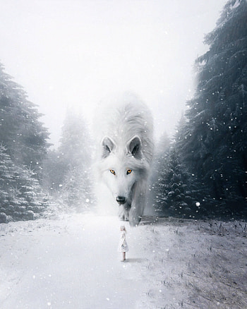 Fantasy, Snow, Fog, Wolf, hop, Child HD phone wallpaper