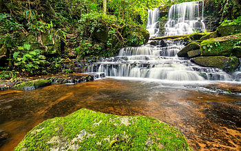 Waterfall in green forest, exotic, beautiful, rocks, park, green, trees, cascades, jungle, forest HD wallpaper