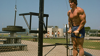 Arnold Schwarzenegger, Training , High-quality HD wallpaper