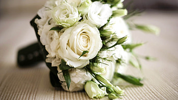 Flowers, Roses, Bouquet HD wallpaper