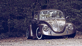 volkswagen beetle, volkswagen, beetle, car, tree HD wallpaper