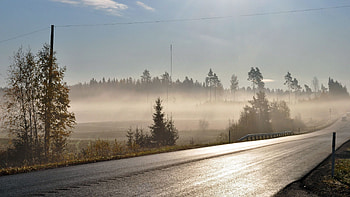Nature, Trees, Shine, Road, Fog, Asphalt, Brilliance, Morning, Freshness, Wires, Wire HD wallpaper