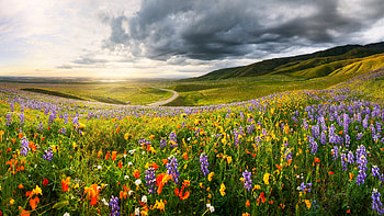 Vibrant Nature Landscape - Ultra, nature, landscape HD wallpaper