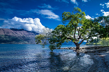 Lake Wakatipu, Queenstown landscape HD wallpaper
