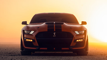 Shelby GT500KR, Ford Mustang HD wallpaper