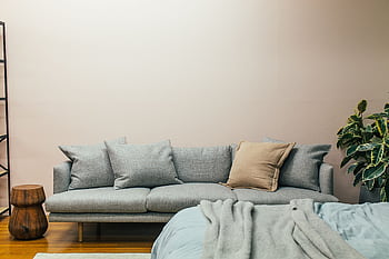 A serene living room with a cozy sofa, wooden stool, and a potted plant. HD wallpaper