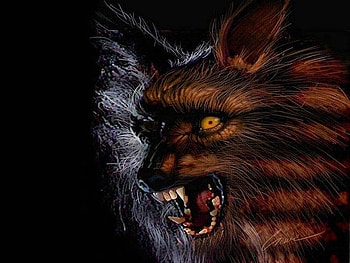 Werewolf, full moon, change, full-moon, man, wolf, wolfman, claws, killer, lykanthrop, lycon HD wallpaper