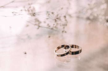 Close-up of elegant silver wedding rings against a soft floral background, perfect for romantic themes. HD wallpaper